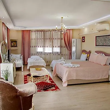 Ephesus Palaces 3* Selçuk